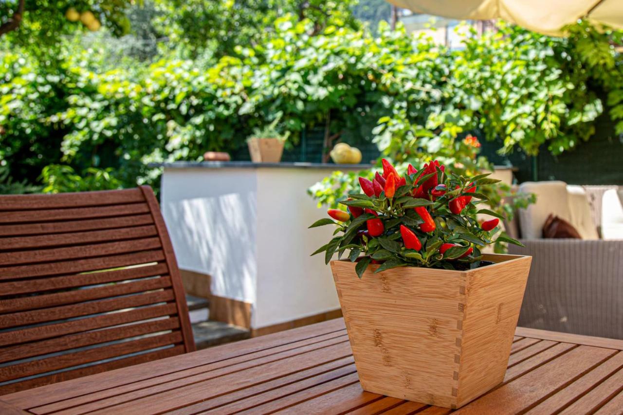 Xenia House Sorrento Hotel Eksteriør billede
